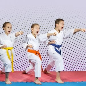 Martial Arts Lessons for Kids in Brookfield  - Punching Focus Kids Sync