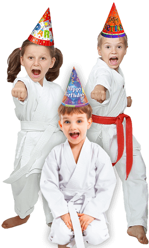 Martial Arts Birthday Party for Kids in Brookfield  - Birthday Punches Page Banner